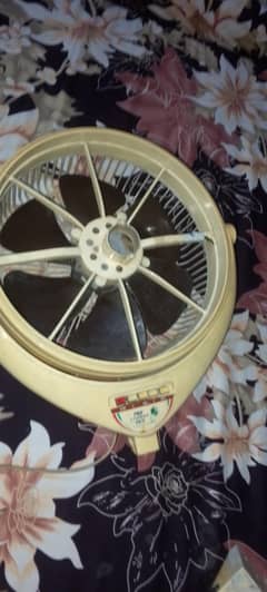 Fan for sale