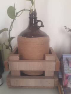 decorated bottles with real plants inside wooden sheet case