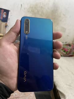 Vivo