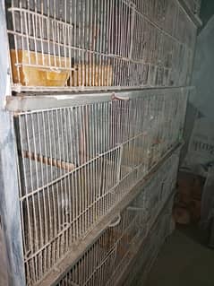 10 portion cages for sale
