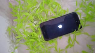 iphone 6 10/10 condition all parts original