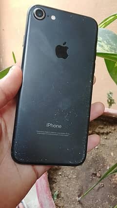 iphone 7