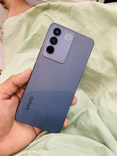 Vivo.
