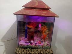 Aquarium
