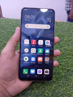 vivo