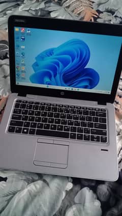 HP
