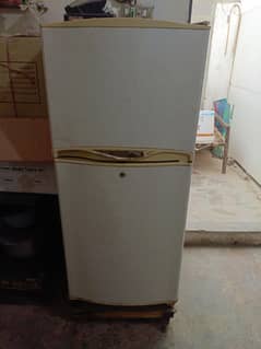 Waves Frige
