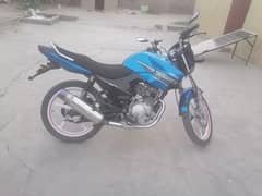 Yamaha YBR