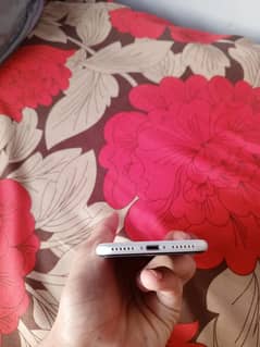 iPhone SE 2020 pta approved