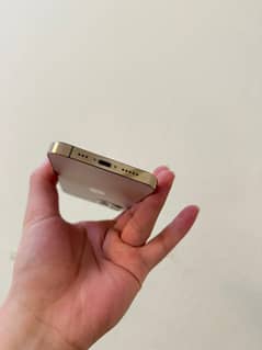 Apple iPhone 12 Pro