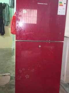 new refrigerator