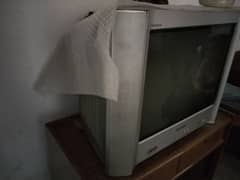 Nobel Company TV