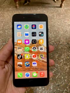 7 plus