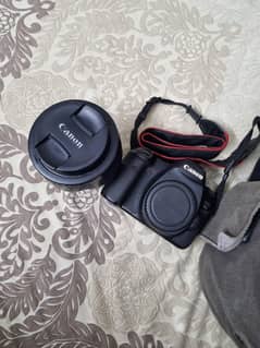 Canon 6D with 24-105 with national geographic bad