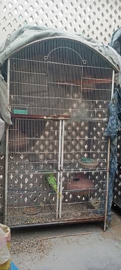 Birds cage