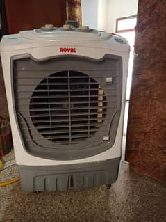 I want to sale Royal Big plastic body converted 12v Air cooler
