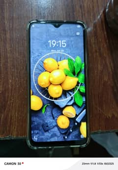vivo