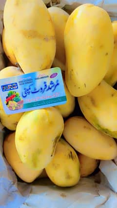 MANGO  EXPORT QUALITY