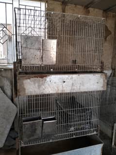 Rabbit cage