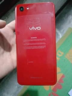 vivo
