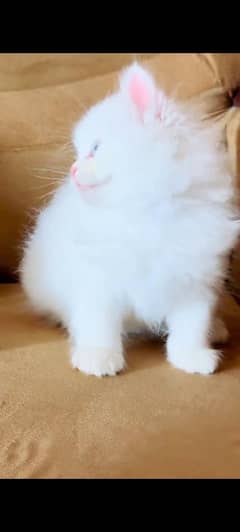 Persian