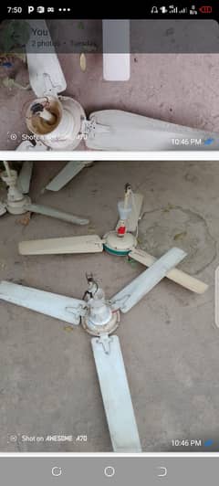 3 fans for sale