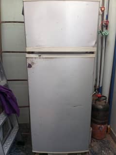 pel medium size fridge