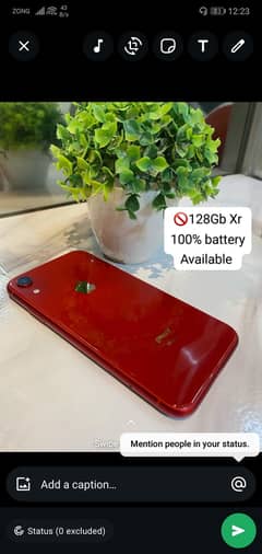 iphone XR