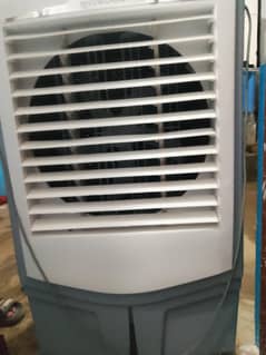 Cooler Fan