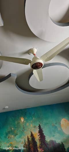 Pak fan 30 Watt
