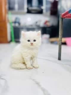 For