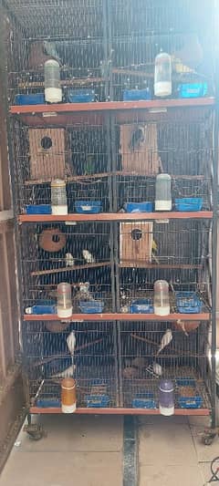 Birds cage 8 pice