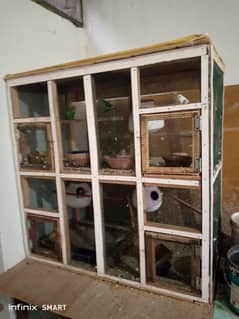 Paroot 4 pair with Cage