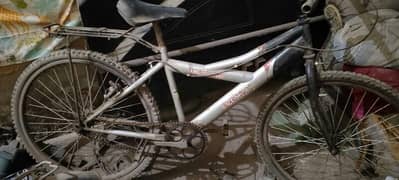 bicycle important