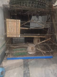 Cage