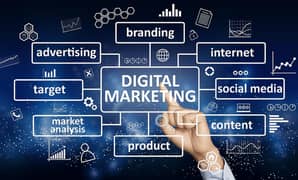 Social Media Manager 3470471589