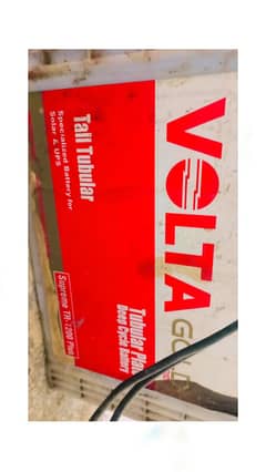volta tall teublar bettry