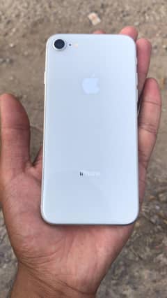 iphone 8