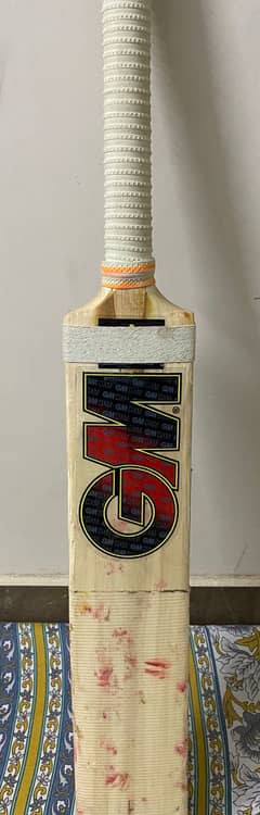 Gm hard ball bat