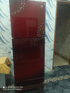 medium fridge