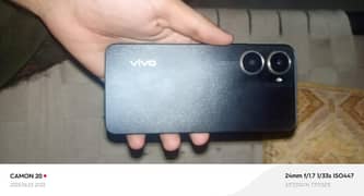 Vivo