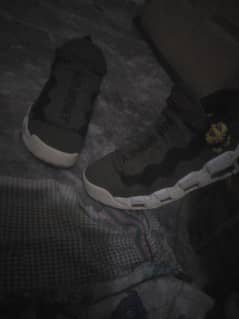 Nike Air money