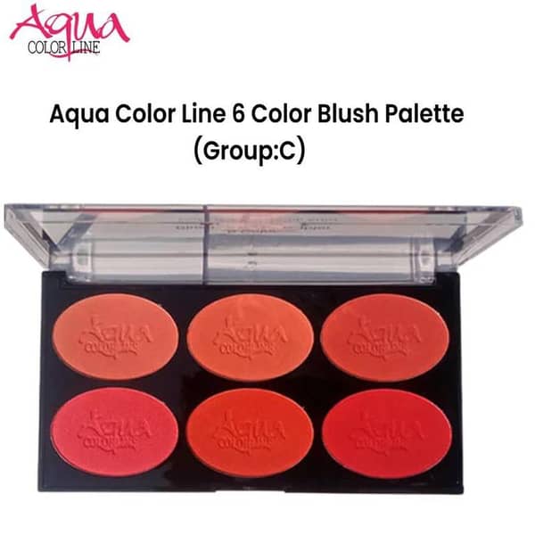 Aqua Color Line 6 Color Blush Set (Group:C) for Blushing, Highlighting, and Contouring