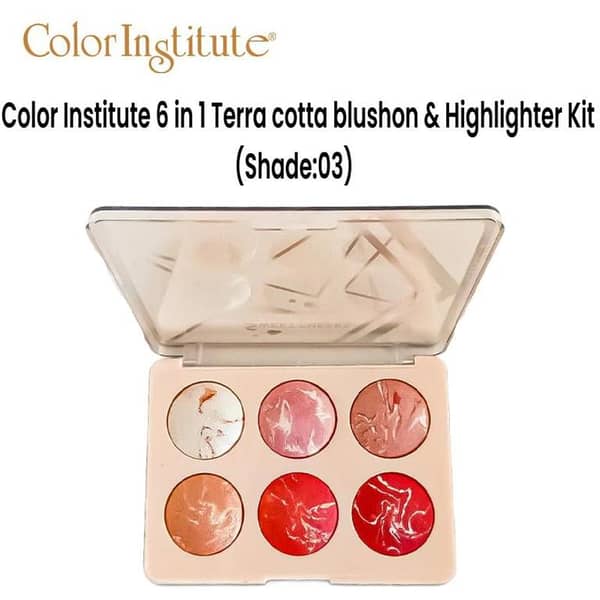 Color Institute 6 in 1 Terra cotta blushon & Highlighter Kit (Shade:03)