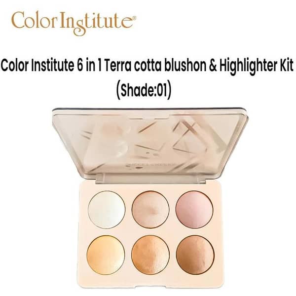 Color Institute 6 in 1 Terra cotta blushon & Highlighter Kit (Shade:01)