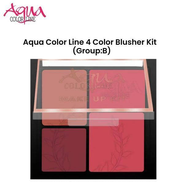 Aqua Color Line 4 Color Blusher Kit (Group:C)