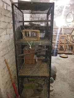 Australian Parrots Cages For Sale