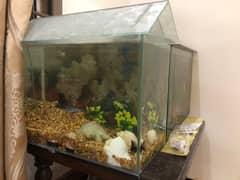 Aquarium