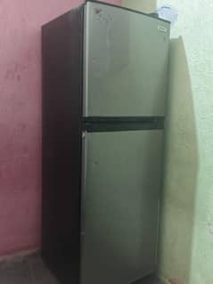 orient   03172221904