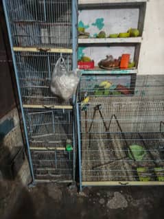 parrot cage 03214535565 Whatsapp